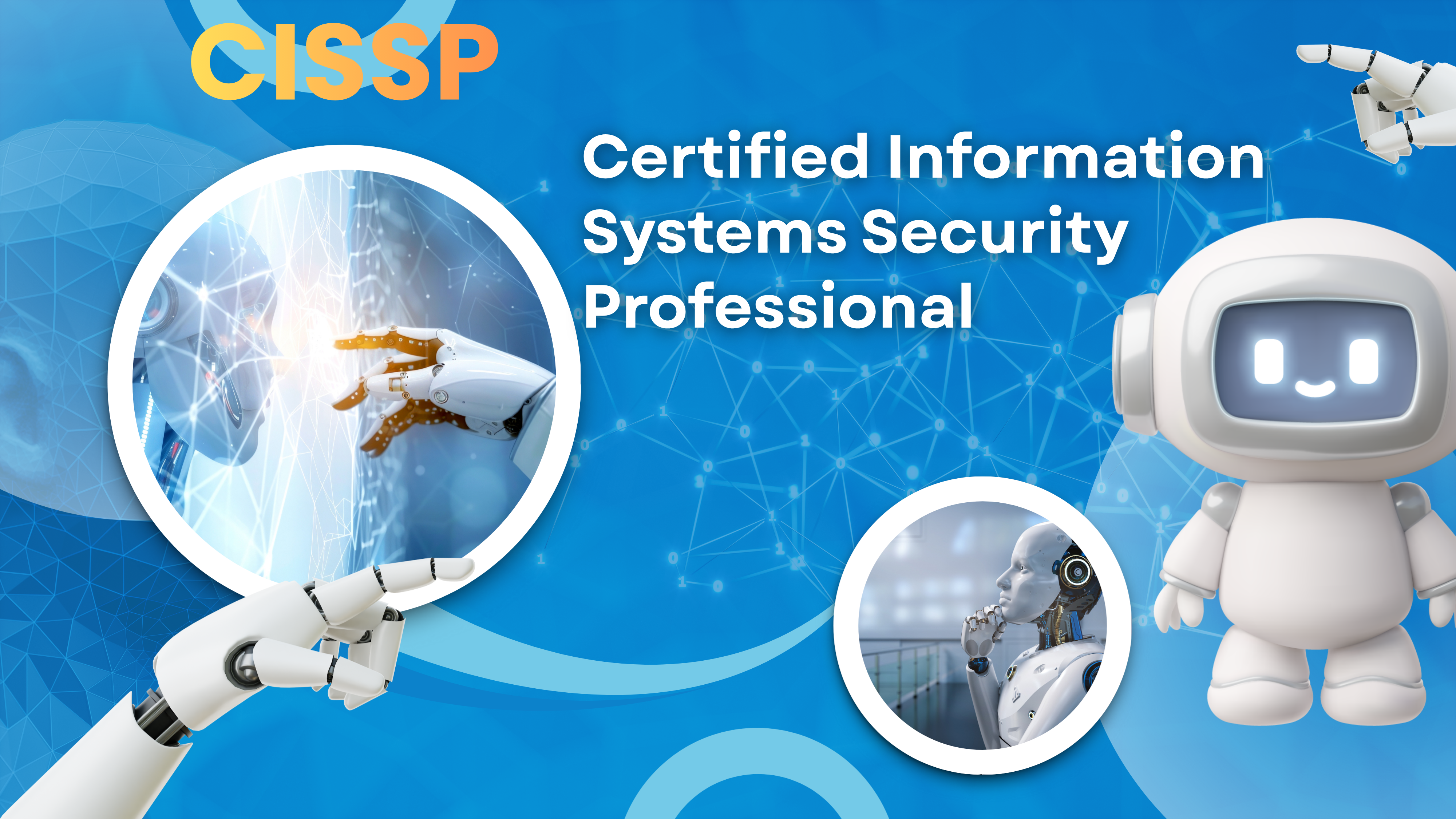 Certified Information Systems Security Professional (CISSP) Certification